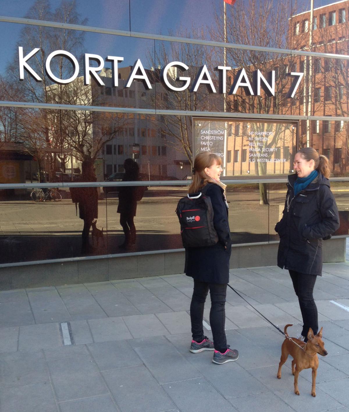 Framför vårt kontor i Solna